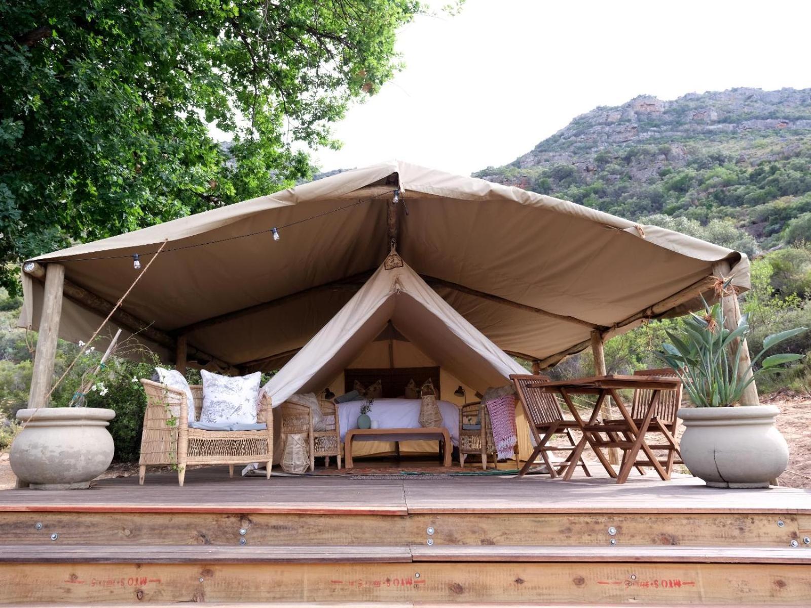 Leopard Valley Eco Retreat Citrusdal Phòng bức ảnh