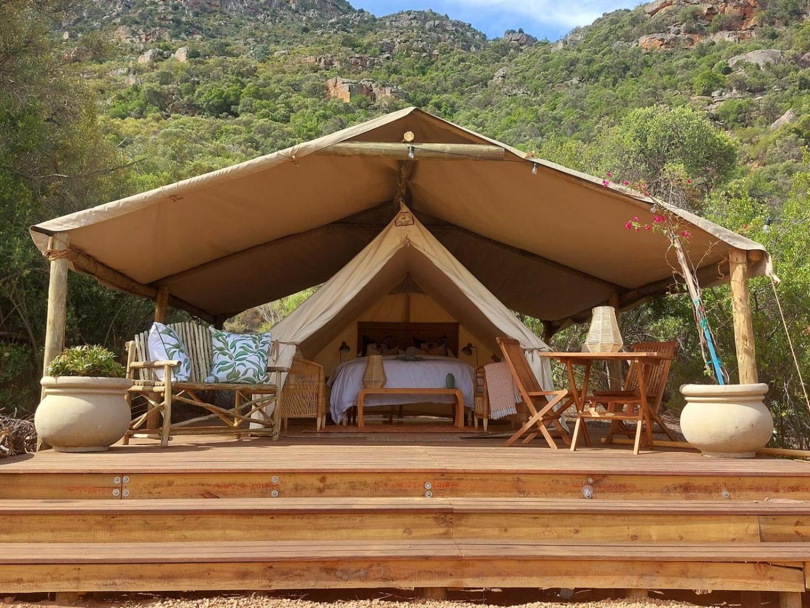 Leopard Valley Eco Retreat Citrusdal Phòng bức ảnh